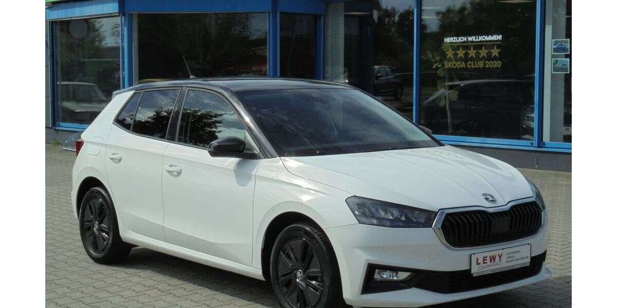 Skoda Fabia 74.559 km 15.700 € Elsterwerda 04910