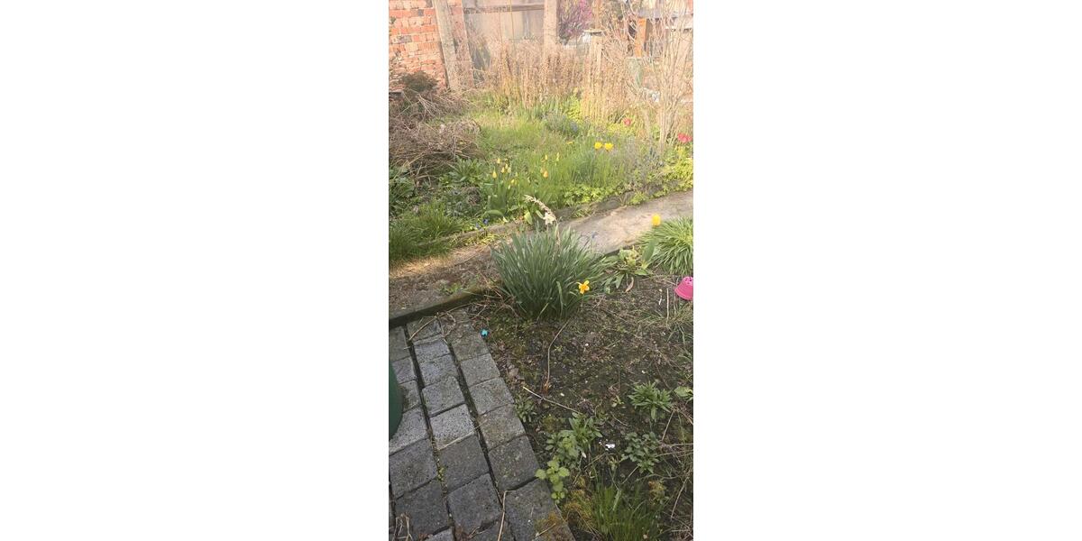 Doppelhaushälfte Seeland Frose - 4 Zimmer, 135 m&sup2;, 85.000&euro; | Angebot:26325656