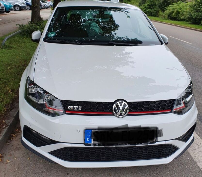 Polo