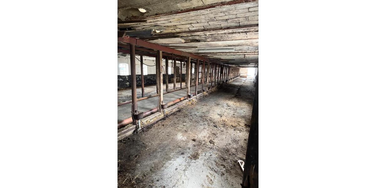 Gewerbeobjekt Flensburg Altstadt - 600&euro; | Angebot:25980668
