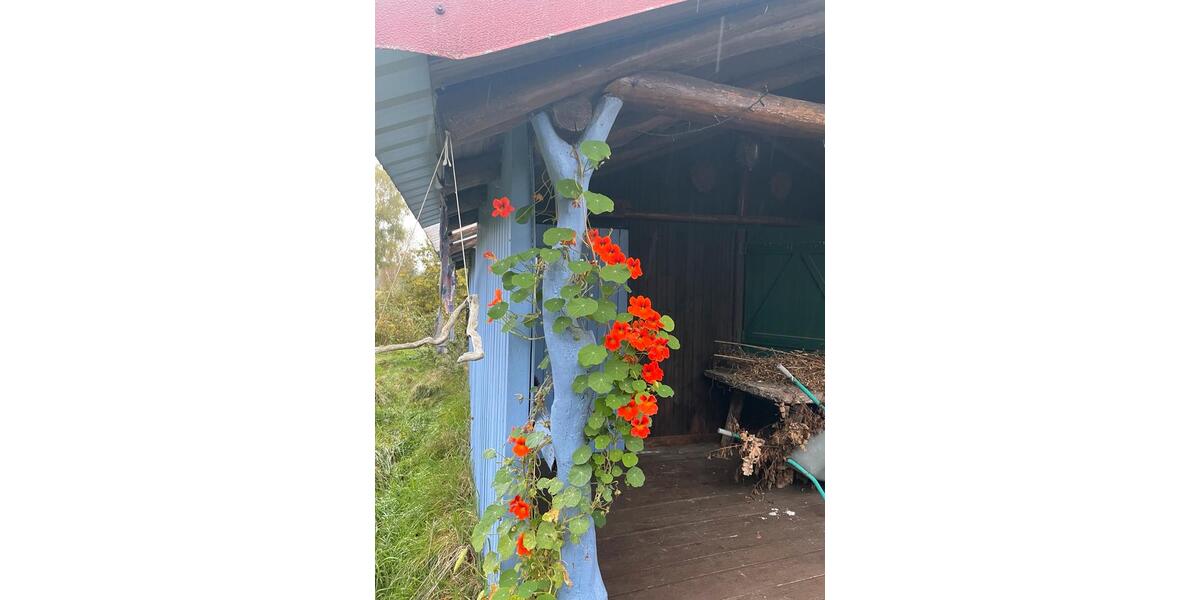 Grundstück Stuhr - 75&euro; | Angebot:25852371