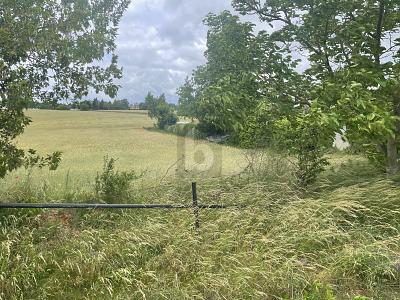 HIER KÖNNTE IHR NEUES HAUS STEHEN - Grundstück Lebus | Angebot:27025761