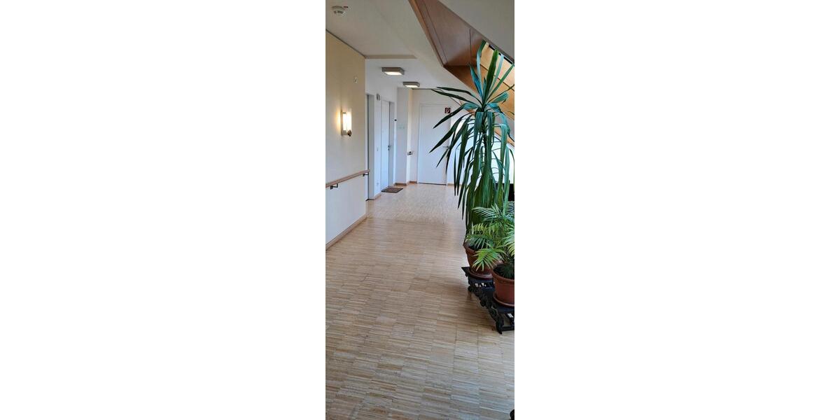 Etagenwohnung Düren Distelrath - 1 Zimmer, 25 m&sup2;, 309&euro; | Angebot:26403757