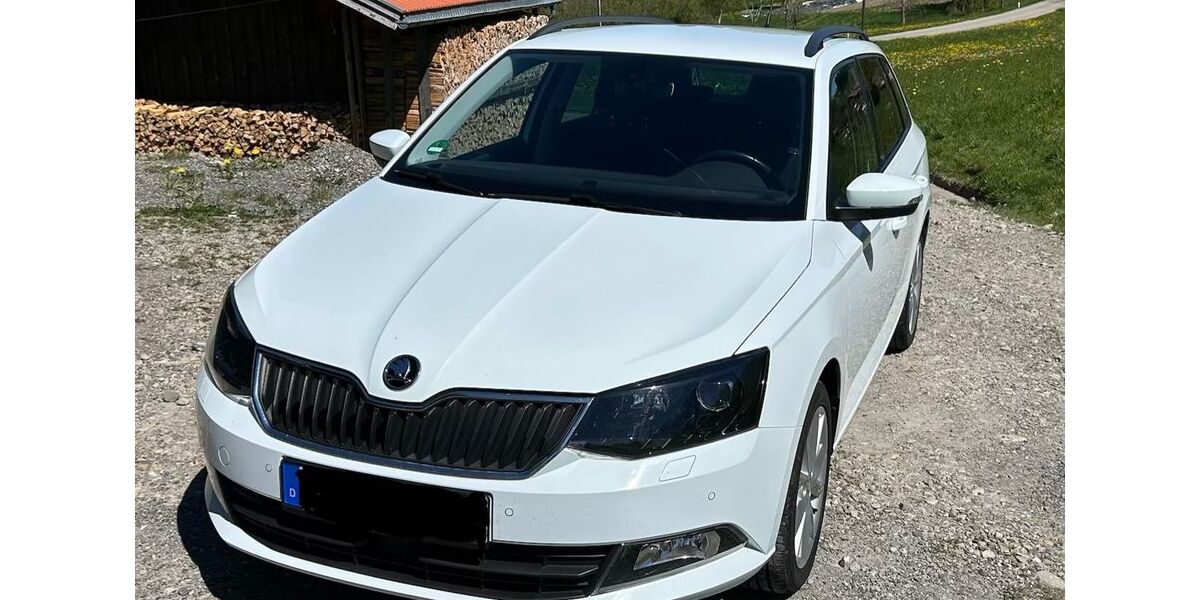 Skoda Fabia 143.000 km 9.500 &euro; Oberstaufen 87534