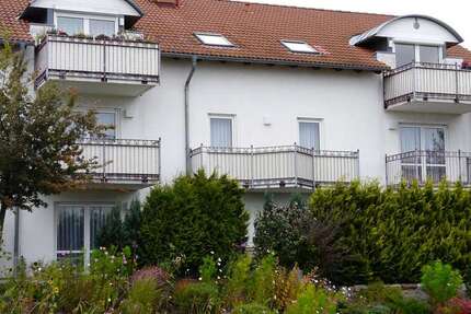 Wohnung zum Mieten in Cottbus 350 € 35 m² 1 zimmer