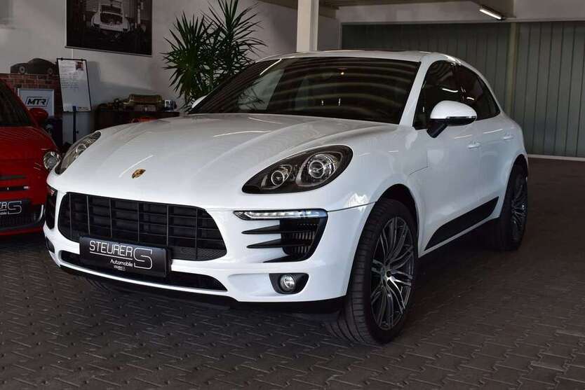 Macan