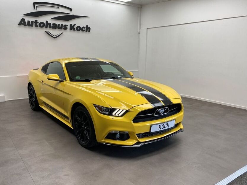 Mustang
