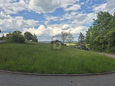 UNVERBAUBARES NATURPARADIES MIT PREMIUMAUSSICHT - Grundstück Tengen | Angebot:26875703