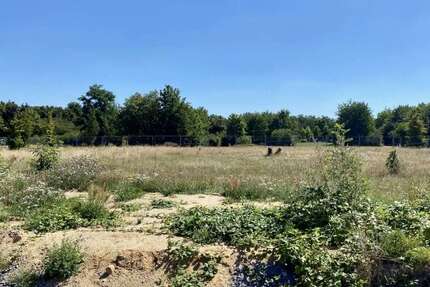 Grundstück Bitterfeld-Wolfen Wolfen - 78.000&euro; | Angebot:26103898