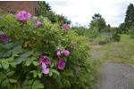 Bauernhaus, Landhaus Hagenow - 7 Zimmer, 242 m&sup2;, 285.000&euro; | Angebot:26806980