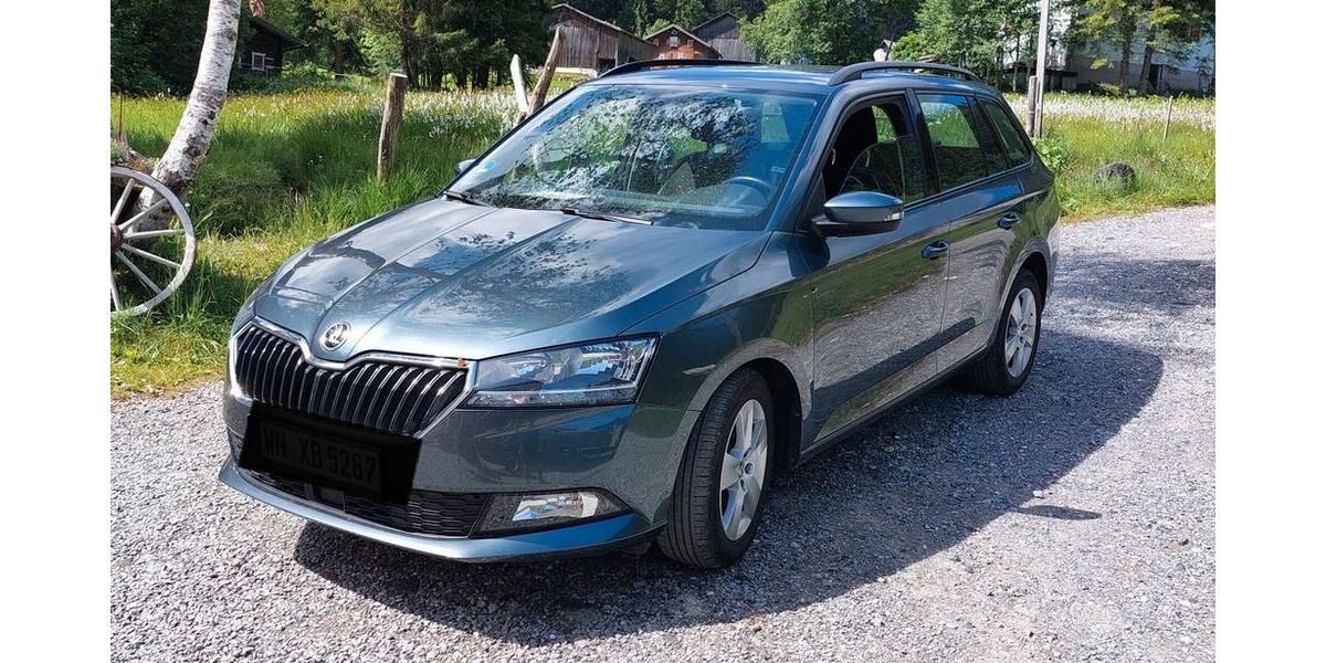 Skoda Fabia 135.000 km 10.500 &euro; Winterlingen 72474