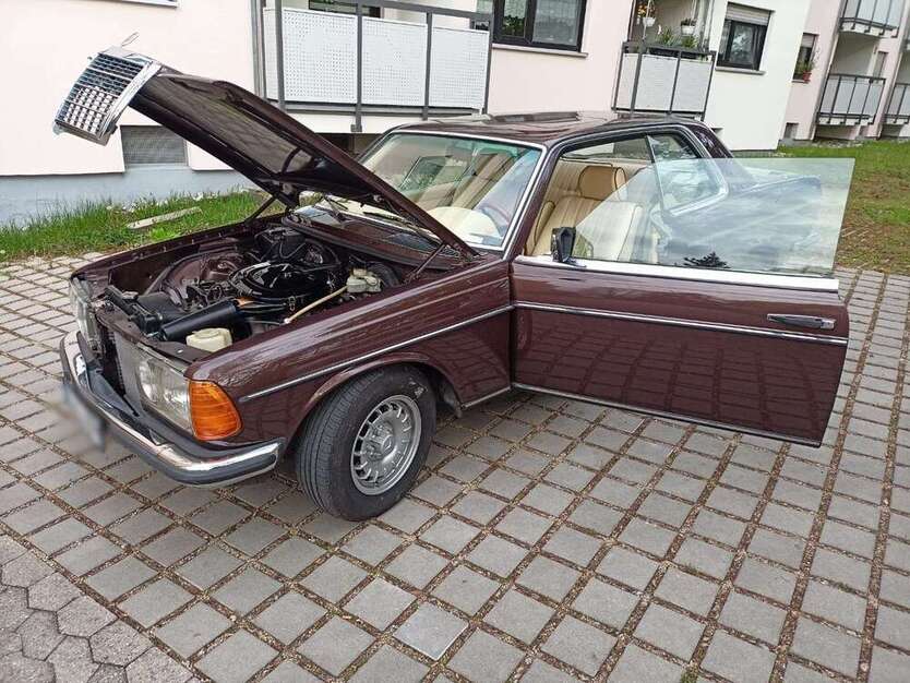 CE 230