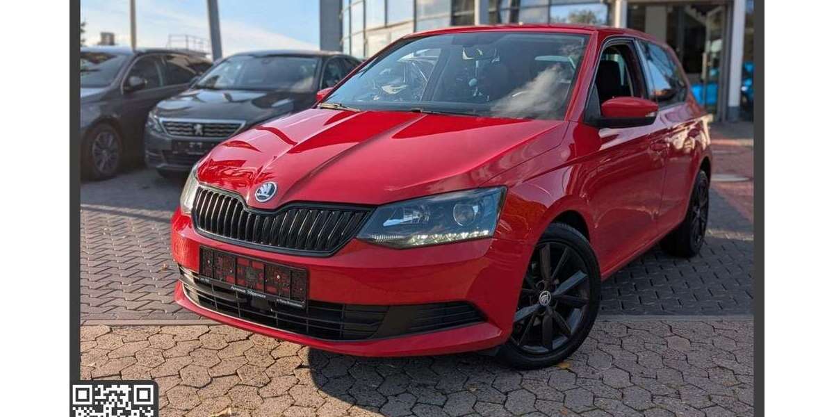 Skoda Fabia 150.000 km 8.990 &euro; Mainz 55128
