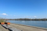 Gepflegte Bürofläche mit ca. 180m², sofort bezugsfrei, Nähe RheinChristuskirche - - Gewerbeobjekt Mainz | Angebot:26799198