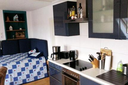 vollmöbliertes u. ausgest. Apartment 4,5 Monate zu vermieten zimmer