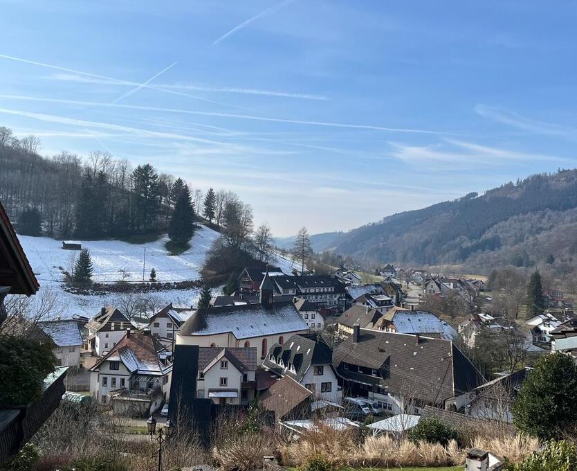 Schöne 3 Zimmer Wohnung in Oberprechtal - naturnahe Hanglage
