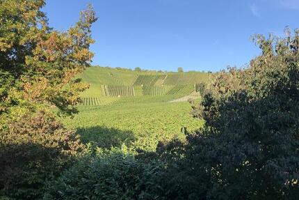 TOP - Großheppach, Maisonette 5-Zi.-Whg. evtl. für Home Office mit EBK, Geschmack und Aussicht! 5 zimmer