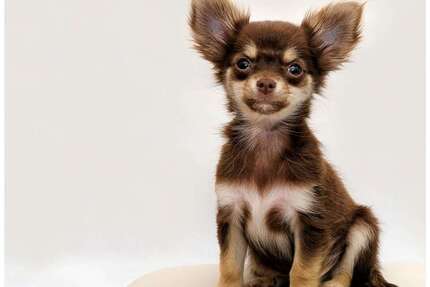 Wohnung zum Kaufen in Waldbüttelbrunn 85.000 € 28.13 m² 1 zimmer