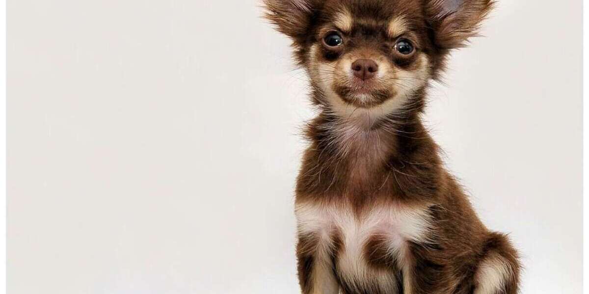 Wohnung zum Kaufen in Waldbüttelbrunn 85.000 € 28.13 m² 1 zimmer