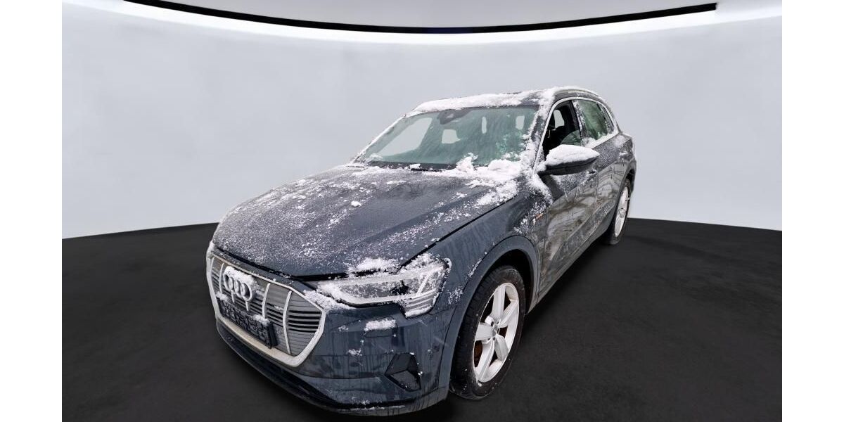 Audi e-tron 20.154 km 29.790 &euro; Nabburg 92507