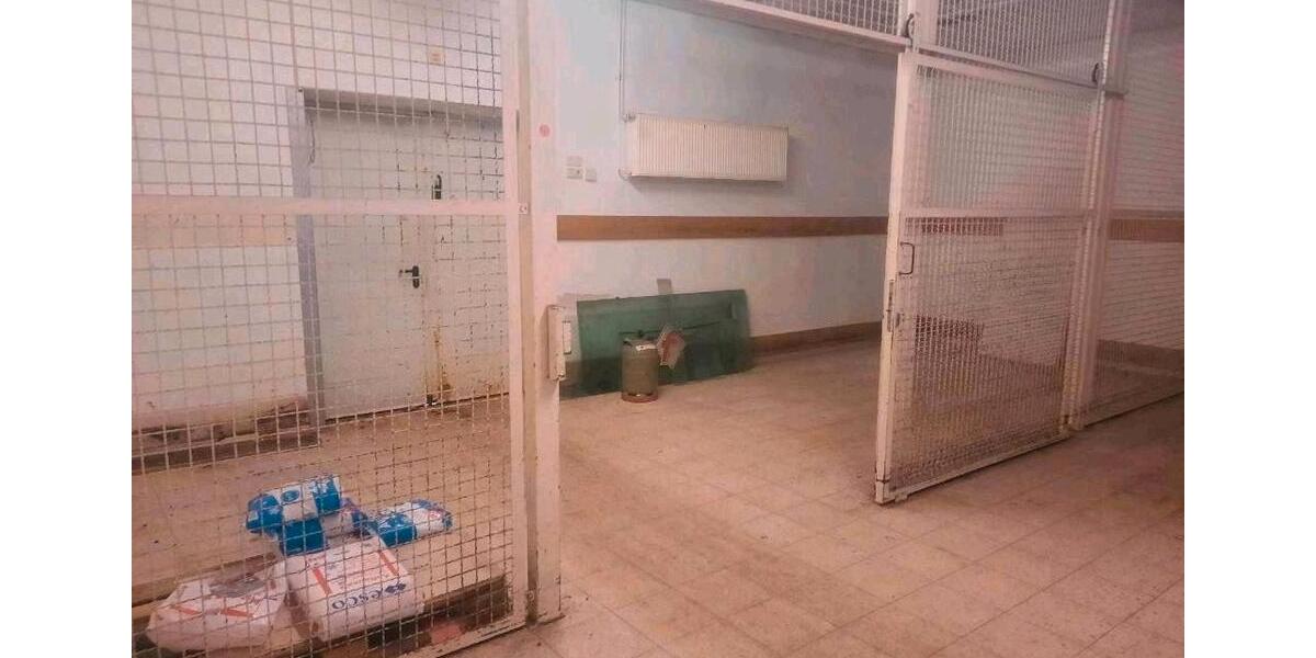 Gewerbeobjekt Klostermansfeld - 1.800&euro; | Angebot:26075236