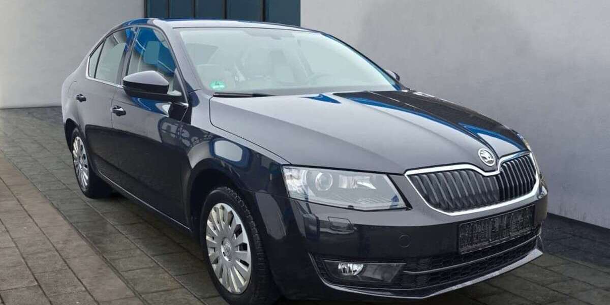 Skoda Octavia 196.000 km 7.480 &euro; Barchfeld 36456