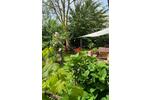 Bungalow Jarmen - 4 Zimmer, 117 m&sup2;, 280.000&euro; | Angebot:26865072
