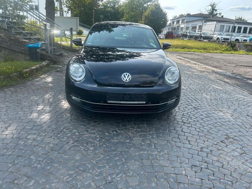 Beetle