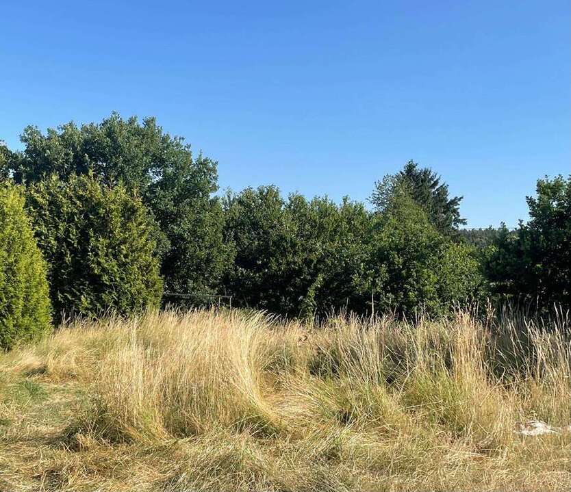 Grundstück zu verkaufen in Herresbach 36.450 € 607 m²