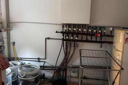 5 Zimmer Wohnung mit Garten 5 zimmer