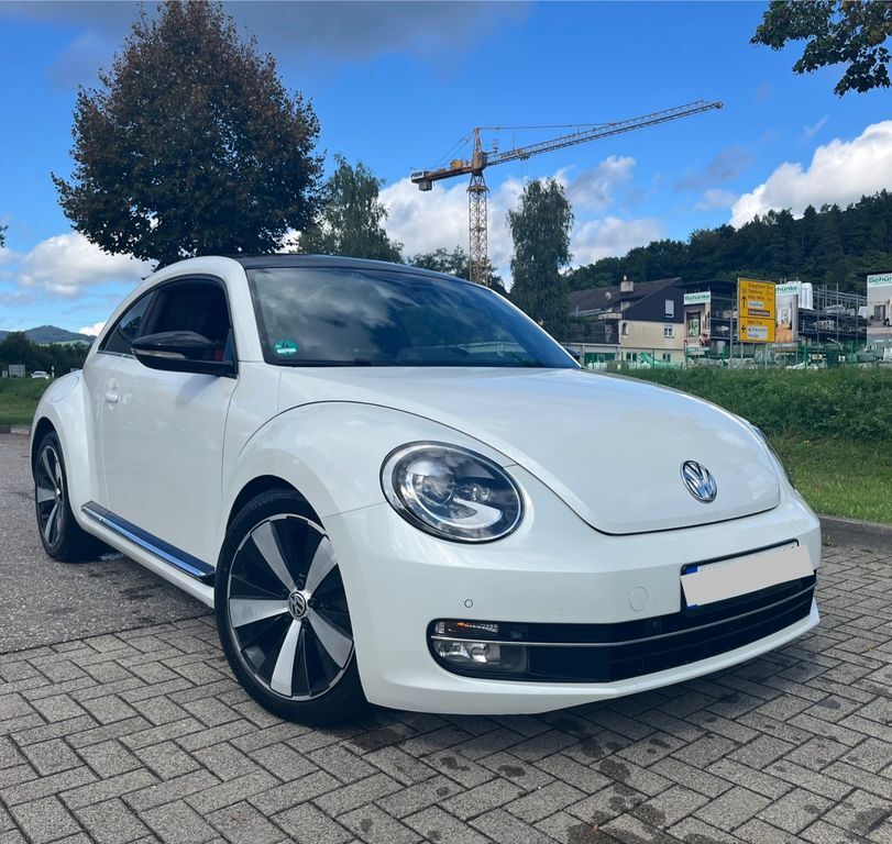 Beetle