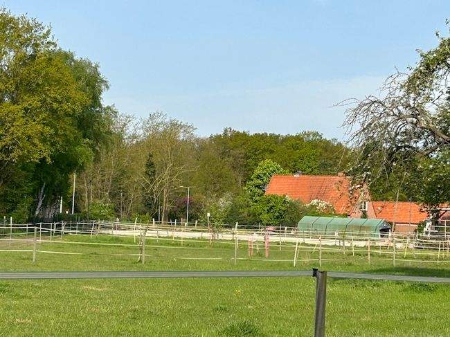 Gewerbeobjekt Dahlenburg / Lemgrabe Lemgrabe - 899.000&euro; | Angebot:25834964