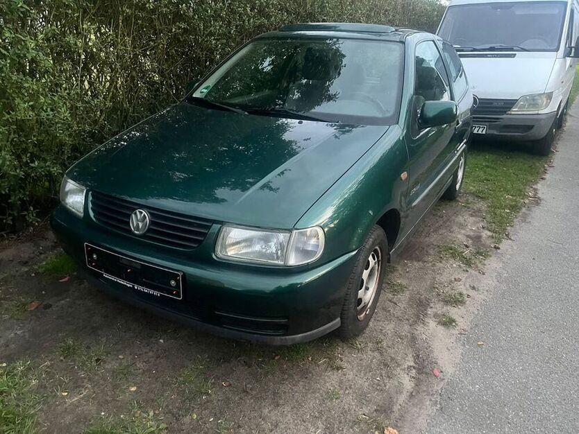 Polo