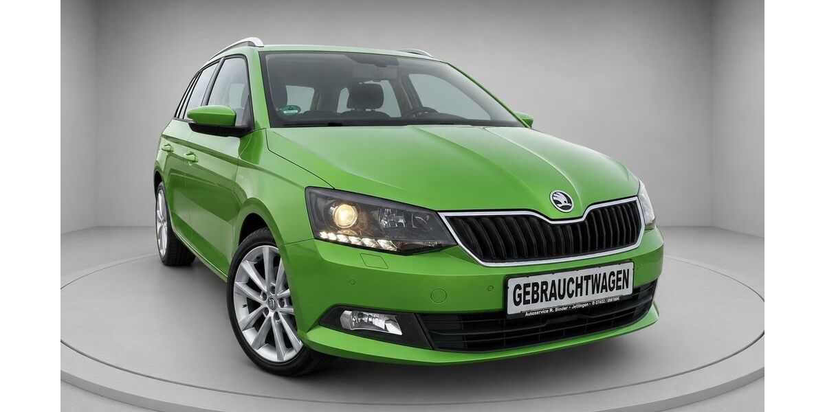 Skoda Fabia 90.750 km 11.599 &euro; Jettingen 71131