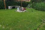 Villa Bad Lobenstein - 650.000&euro; | Angebot:26134426