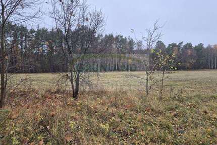 Grundstück Banzendorf Banzendorf - 160.000&euro; | Angebot:25719795