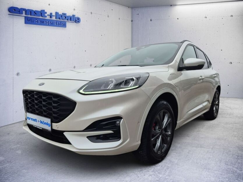 Kuga