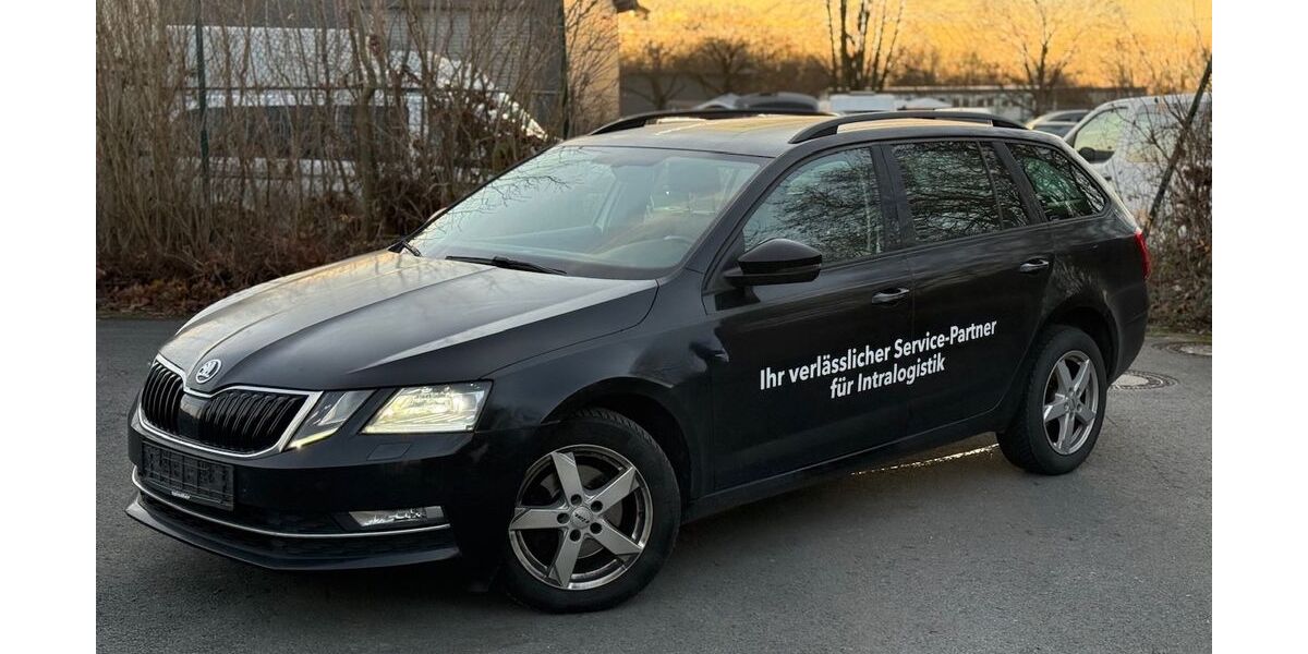 Skoda Octavia 305.395 km 8.600 &euro; Soest 59494