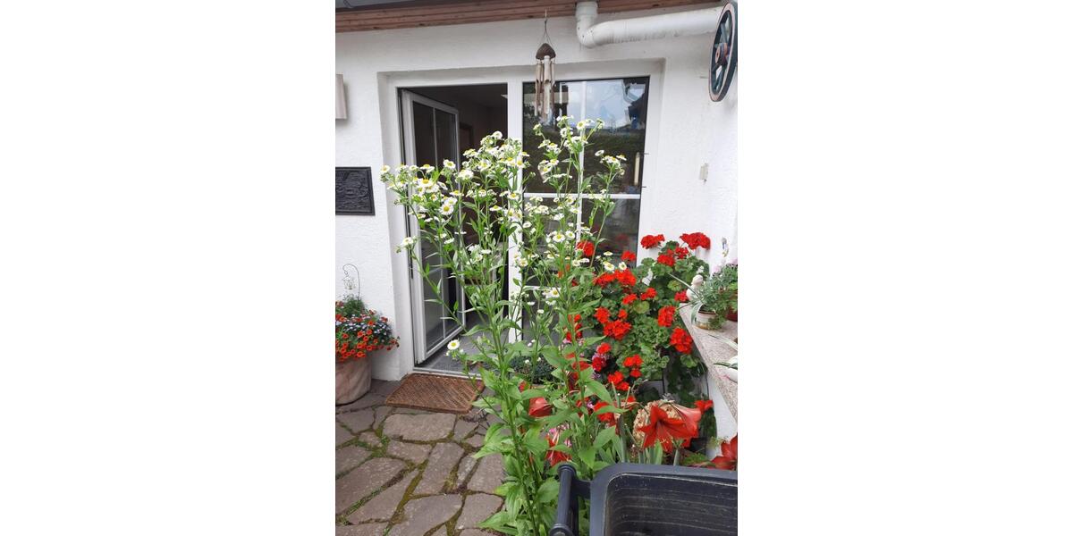 Reihenhaus Tangermünde - 4 Zimmer, 91 m&sup2;, 125.000&euro; | Angebot:25591379