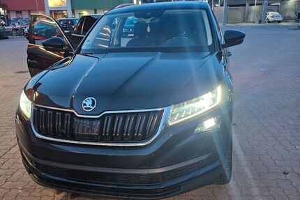 Skoda Kodiaq 180.270 km 17.500 &euro; Geesthacht 21502
