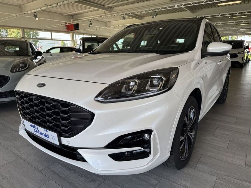 Kuga