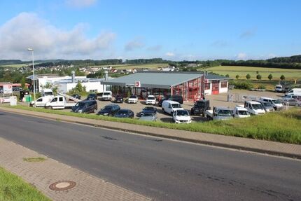 Dacia Sandero 6.900 km 15.990 &euro; Kaisersesch 56759