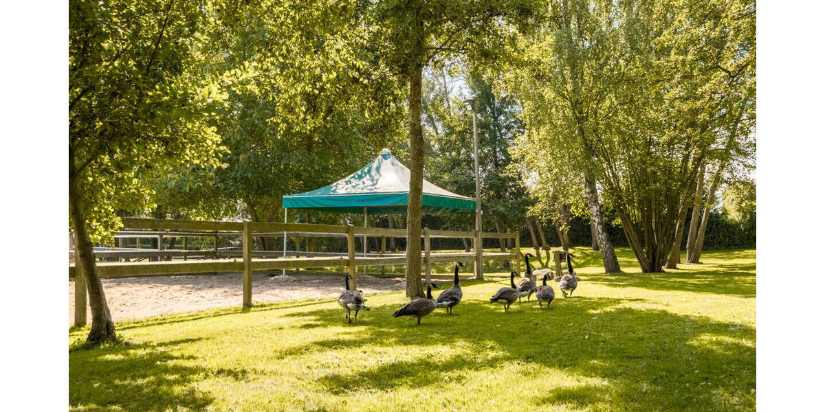 Mehrfamilienhaus, Wohnhaus Schashagen-Marxdorf Marxdorf - 5 Zimmer, 170 m&sup2;, 990.000&euro; | Angebot:25909545