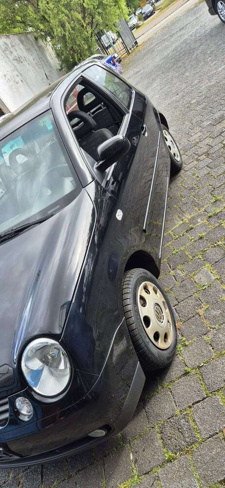 Lupo