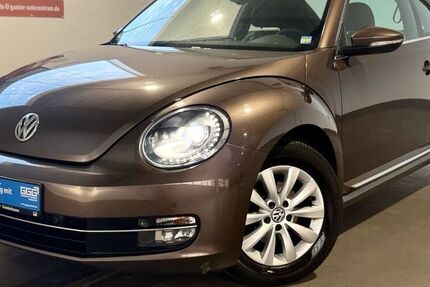 VW Beetle