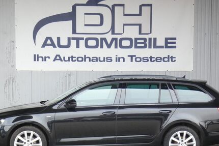 Skoda Octavia 132.875 km 13.990 &euro; Tostedt 21255