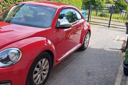 VW Beetle 123.000 km 7.995 &euro; Stahnsdorf 14532
