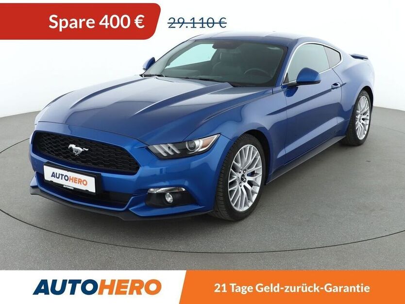 Mustang
