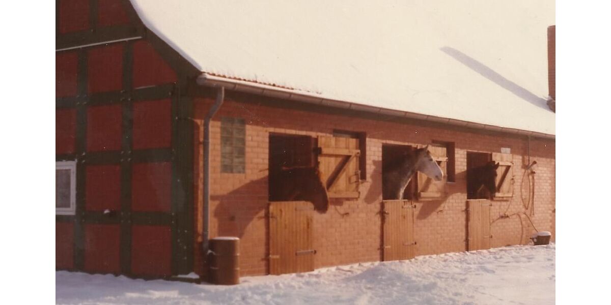 Historischer Niedersachsen- Bauernhof in Fachwerk mit Pferdeboxen u. tollen Eichenbaumbestand - Gewerbeobjekt Diepenau | Angebot:26302225