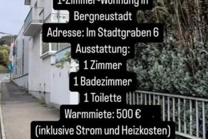 1-Zimmer-Studentenwohnung in Bergneustadt zimmer